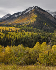 Winter arrives in the Wasatch Mountains of Utah, over the color of autumn leaves along the Alpine Loop.  The Alpine Loop connects Provo Canyon with American Fork Canyon.