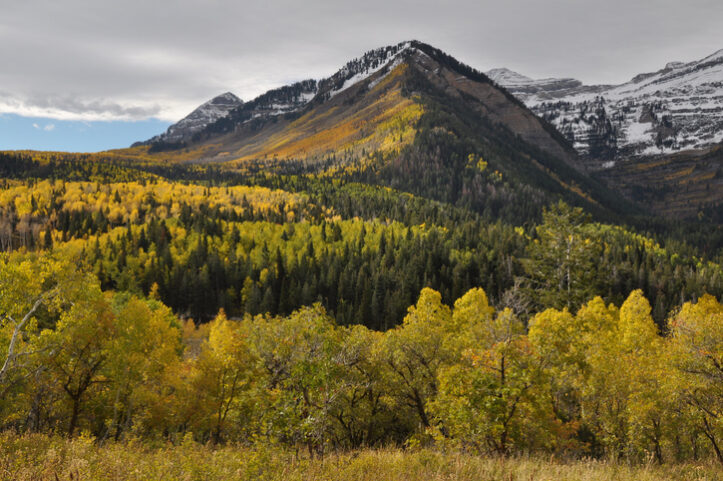 Winter arrives in the Wasatch Mountains of Utah, over the color of autumn leaves along the Alpine Loop.  The Alpine Loop connects Provo Canyon with American Fork Canyon.