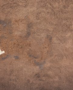 When Your Disability Claim Gets Denied What the Law Actually Says — and What to Do Next