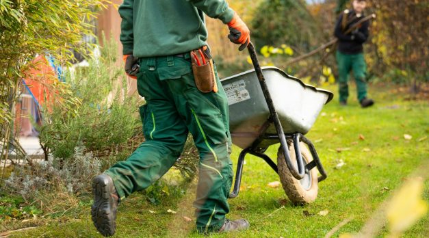 Why Landscape Design Is No Longer Optional — It's a Strategic Investment in Your Property and Your Life